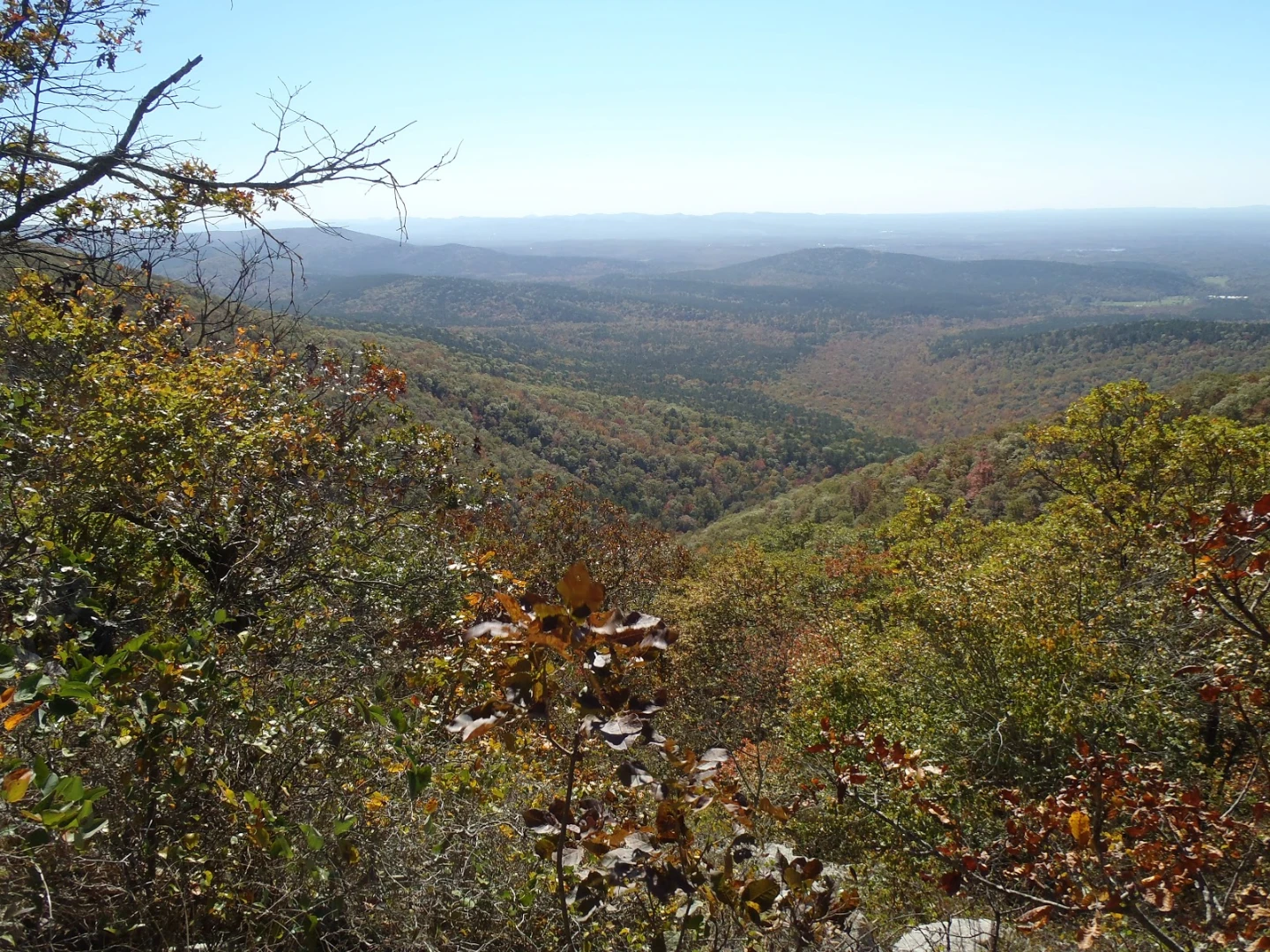 Henderson State University