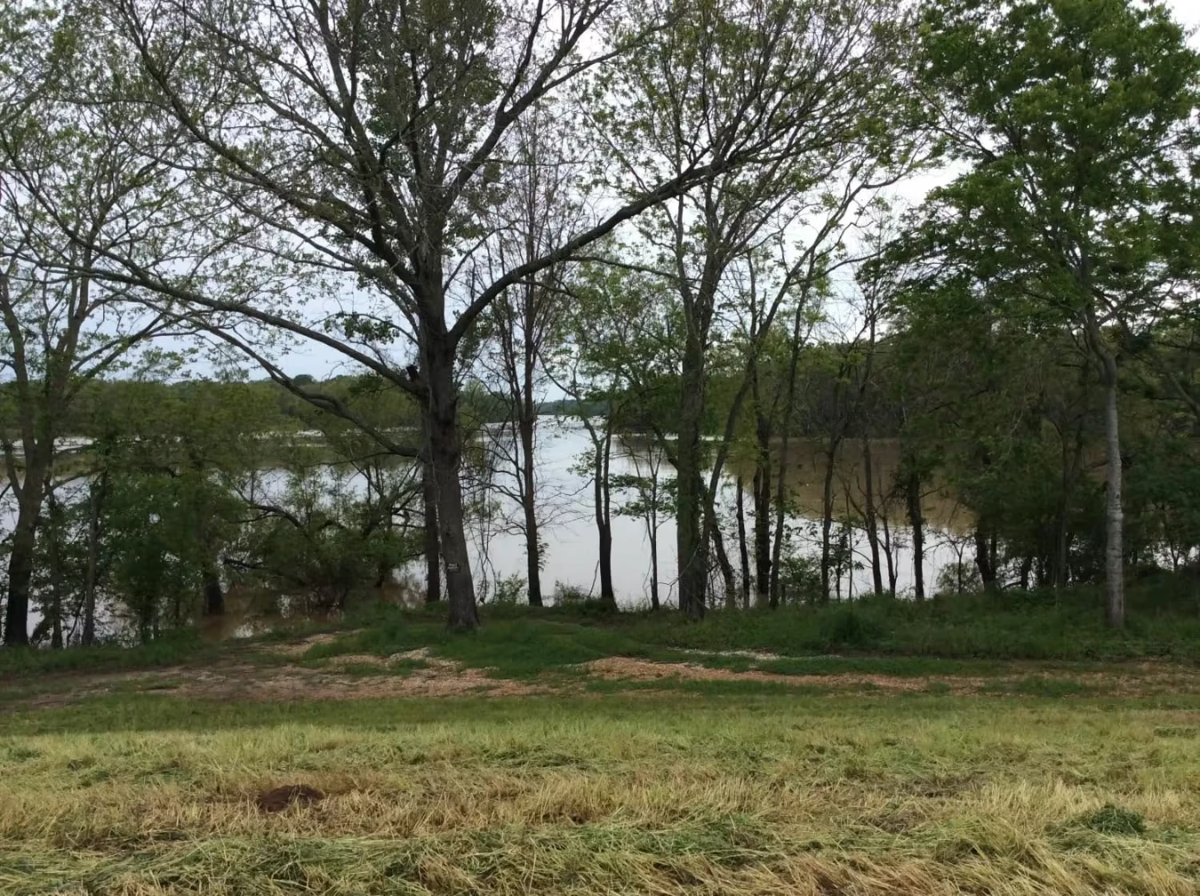 Ouachita Baptist University