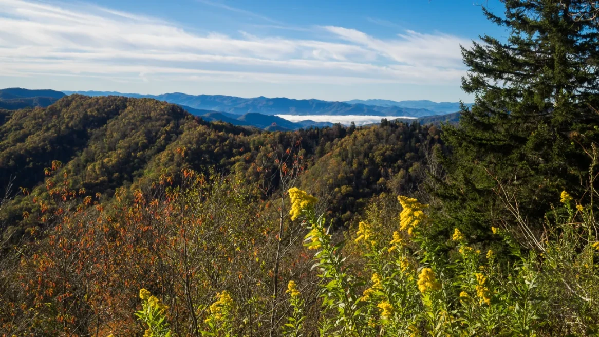 Clark County Historical Museum